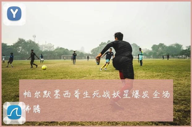 帕尔默墨西哥生死战妖星爆发全场沸腾